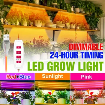 Füto Lamp LED Grow Light Kasvuhoone Täieliku Spektri LED Taimed Pirn Seemikud Lille Seemned Siseruumides Kasvu Tuled USB